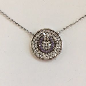 Dainty Amethyst Horseshoe Necklace